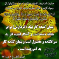 #حضرت_امام_رضا_ع به نقل از جدّ بزرگوارشان #رسول_گرامی_اسل