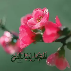 #سلام_امام_زمانم💚