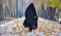 غنچه ای تا هست پنهان در حجاب/می کند از او خزان هم اجتناب