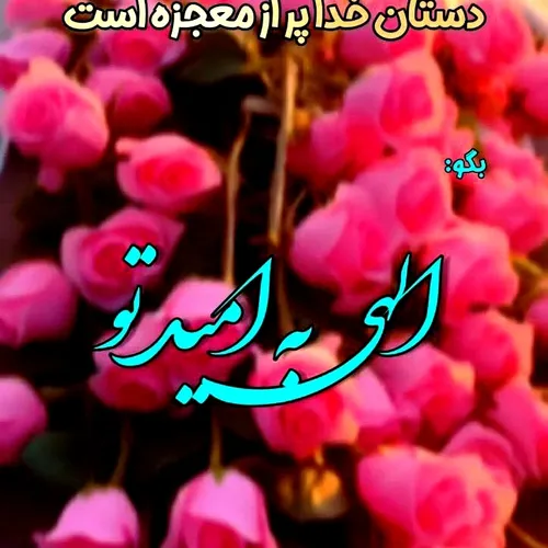  faridee2981 66465618 - عکس ویسگون