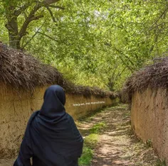 کوجه باغ عشق