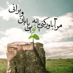 !!!.کاش باورم میکردی.