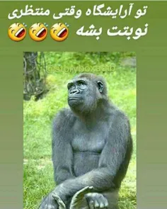 دخترا وقتی میرن آرایشگاه😄