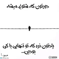 #پرنده #هیچ #شهنیا