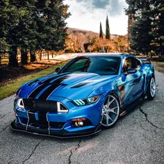 Ford-Shelby_s550