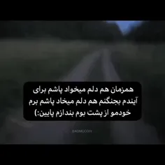 متین.....