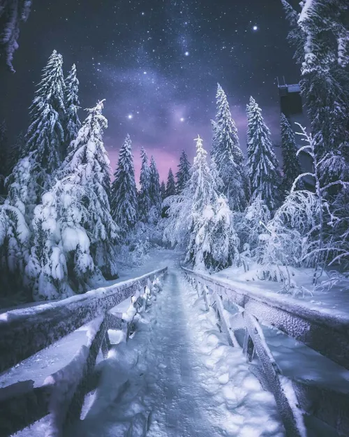 زمستانی رویایی در جنگل پویجو در فنلاند 😎