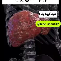 تست رایگان کبد اوردم براتون 👆👆