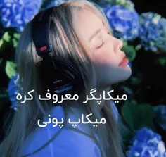 میکاپگر