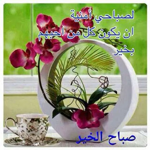 عکس نوشته alaarabi 22752450 - عکس ویسگون