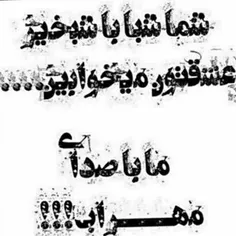 شما شبا با شبخیر عشقتون میخابید ما با صدای مهراب🙃💔