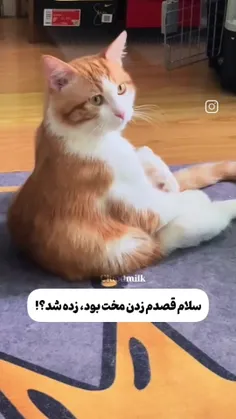 کاربردی برا کراشاتون🌚✅️