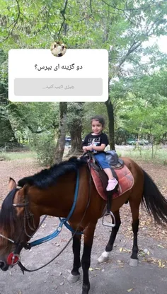 فندق خانم خوشگل