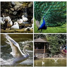 باغ پرندگان تهران در ایام نوروز
