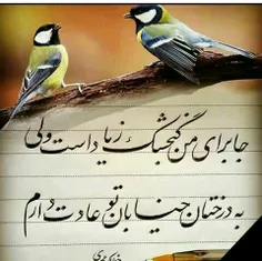 #عکس_نوشته