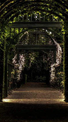 #Garden-Path-Way-Park