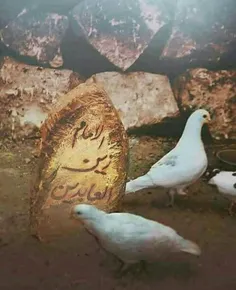 نه رواقی، 