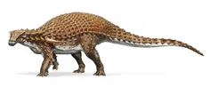 دایناصور متلق 444444444 سال پیش
