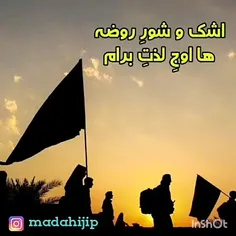 اشک و شورِ روضه ها اوج لذتِ برام