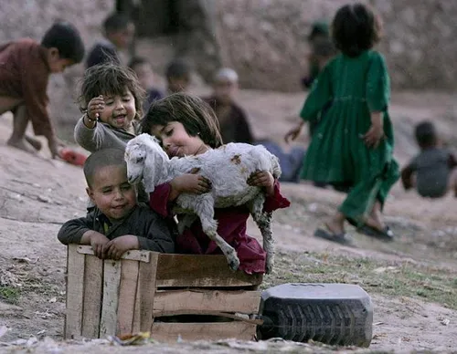 در خانه ما رونق اگر نیست،صفا هست