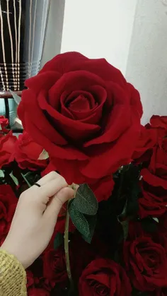 اینم برا همههههههه آجیای گلمممم❤ ❤ ❤