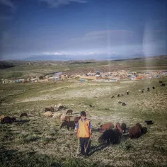 Shahram is a 7-year-old boy from a village which is 40 km