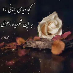 عکس نوشته masomeh.iran 40106473
