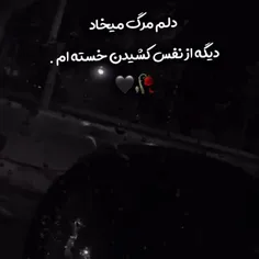 ــــــــــــ🥀🥀🥀ــــــــــ