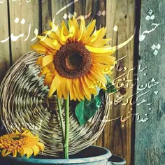 🌻چشمان تو آفتابگردانند
به هر کجا که نگاه کنی،
خدا آنجاست🌻