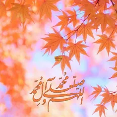 🍁در اولین پنجشنبه آبان ماه 