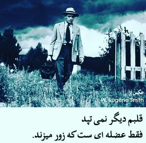 مـی دانم هدر مـی روم