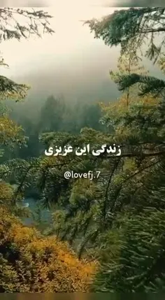 خانواده