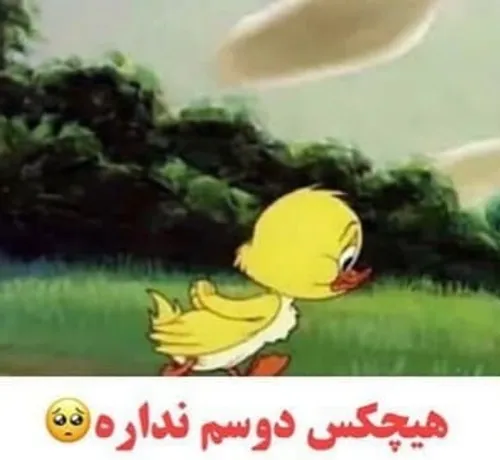 دخترا بعد از اینکه به ۸۶۵ تا پسر گفتن نه😂