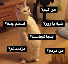 . قتی ویسگون نصب کردم دقیقا همین بودم😂😂😂😂