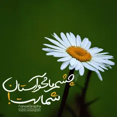 یا امام رضا (ع) . . . 