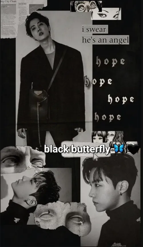 black butterfly 🦋 🖤