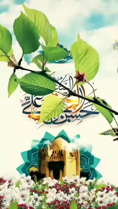 #ولادت_امام_حسن_مجتبی "علیه‌السلام" مبارک🤍