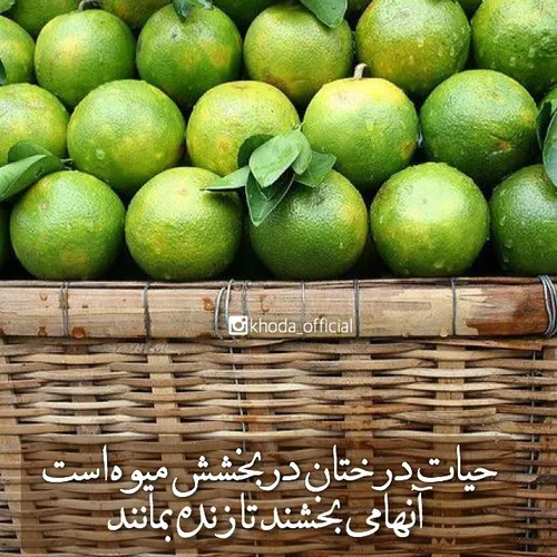 یا مهدی ادرکنی یا مهدی ادرکنی یا مهدی ادرکنی یا مهدی ادرک