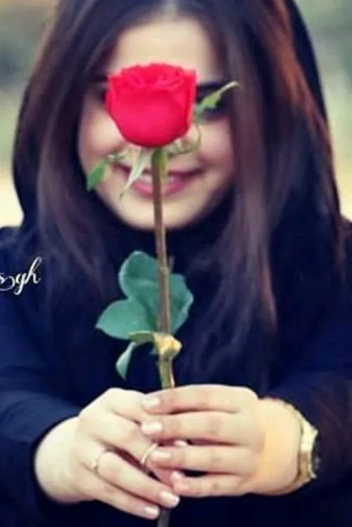 گل سرخ نشانه عشق ودوست داشتن است🍃 🌹