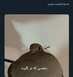 ببین 😠😠😠😠