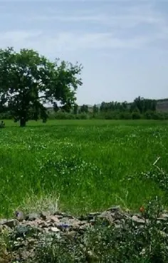 حدود 20 قنات در #دهستان_قاهان و 15 قنات در روستای انجلیه 