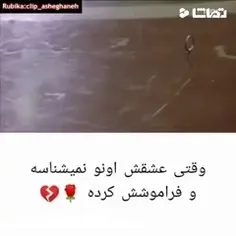 سریال:دبلیو 