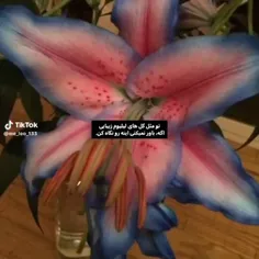 واییی عاشق گل لیلیومم اگه کسیو خیلی دوست داری براش بخررر🌺