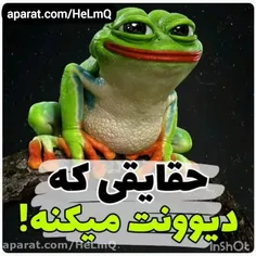 دنبال کنید