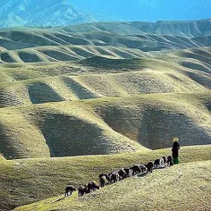 A shepherdess at the heights of Turkmen Sahra, a region i