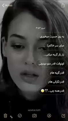 ayda-8802 74808498