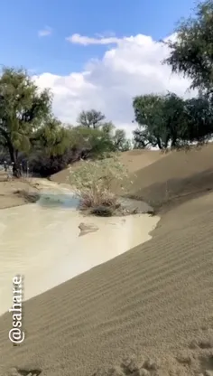 وقتی باران اینگونه جانی دوباره به صحرا می بخشد ،#بلوچستان