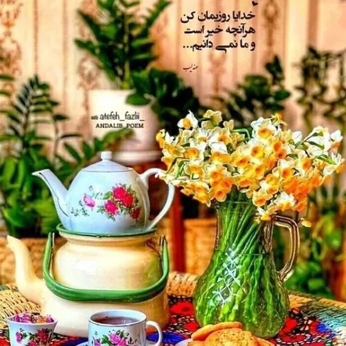  farzanehoseini046 46178142 - عکس ویسگون