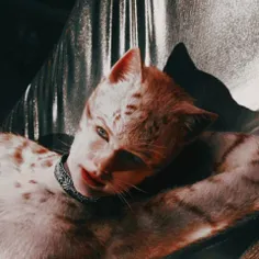 تیلوردرنقشBombalurinaدرفیلمcats. #taylorswift #cats #bomb