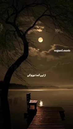 🦋💚 آدم از یک جایی به بعد می‌فهمد